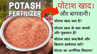 Potash Fertilizer क्या है Potash कब कितना और कैसे इस्तेमाल करे अपने पौधों पर Potash खाद के फायदे। [upl. by Outlaw258]