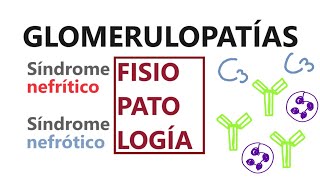 Nefrología  Glomerulopatías Mecanismos fisiopatológicos [upl. by Sahpec]