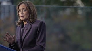 Kamala Harris urged to take a ‘permanent vacation’ from politics [upl. by Nednil]