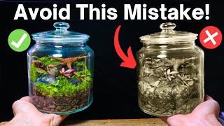 5 Terrarium Mistakes You DO NOT Want To Make [upl. by Nazario]