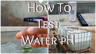 How To Test For Water pH  What To Use  Best pH Level For Fish Farmers [upl. by Thurmann]