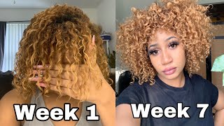 How I Fixed My Heat Damaged Curls in 7 Weeks [upl. by Jaimie13]