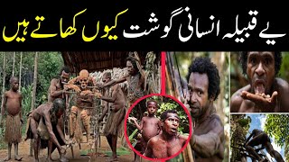 History Of Ancient Korowai Tribe  Korowai Tribe  korowai [upl. by Nimajnab736]