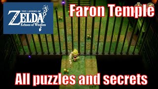 Faron Temple Dungeon Guide  All Puzzles and Secrets  Zelda Echoes of Wisdom [upl. by Annayram]