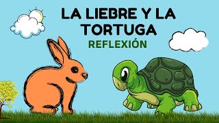 Reflexiones Cristianas  LA LIEBRE Y LA TORTUGA UNA ENSEÑANZA DE VIDA [upl. by Inahet]