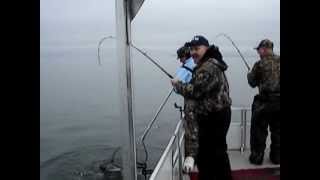 Monster Santee Cooper Blues Catfishing SC with Capt Darryl Smith [upl. by Butterfield]