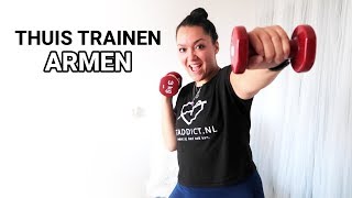 Thuis Trainen  Armen  Biceps amp Triceps [upl. by Marlene]