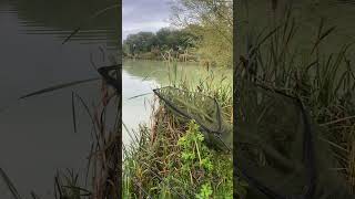 Coking farm woodlands lake carpy carpfish fishing carps fish carp lake carpbasics [upl. by Destinee]