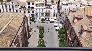 BRASILEIRO NA ESPANHA SEVILHA  Vista de cima da torre Giralda da catedral [upl. by Jesh487]