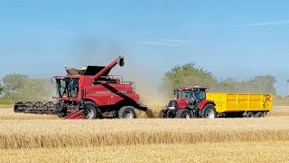 Harvest 2024 is done but why did 1 days combining ended up taking us 12 days to finish [upl. by Pandolfi]