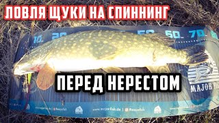 На что и где ловить щуку на спиннинг перед нерестом Ловля щуки на спиннинг перед нерестом [upl. by Beera]