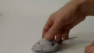 Tin Wind Up Toy  Mouse [upl. by Nocaed]