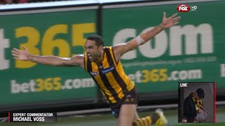 AFL 2013 1st Preliminary Final  Hawthorn highlights vs Geelong [upl. by Josephson321]