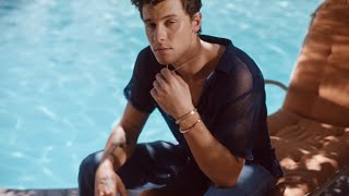 David Yurman  Shawn Mendes in Tags Collection [upl. by Akirahs310]