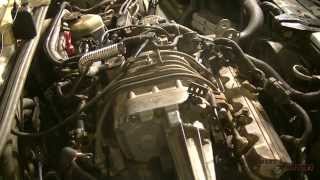 Head Gasket Replacement Part 2 1999 Pontiac Grand Prix GTP [upl. by Peder]