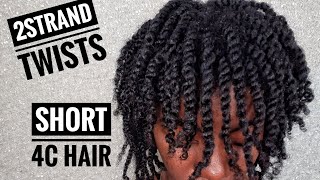 How To Do TWO STRAND TWISTS [upl. by Sheets]