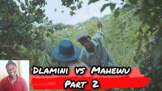 Dlamini vs Mahewu part 2 🤣 uDlamini yiStar reaction video 2024 [upl. by Damour]