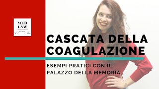 Come memorizzare la Cascata della Coagulazione con il Palazzo della Memoria [upl. by Anirbaz]