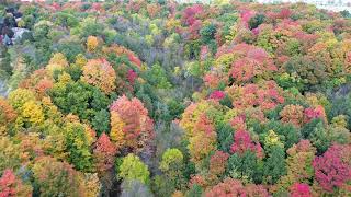 Maple Valley Park Thornhill 4k Oct 2024 [upl. by Aelc]