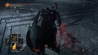 Lothric Castle Part 1  Consumed Kings Garden Untended Graves [upl. by Ahsemal645]