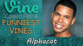 Best Funniest Vines of Alphacat  Funny Vine Compilation 2015 [upl. by Lowe]