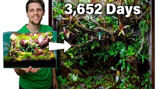 3652 Day Journey of How a Terrarium Changed My Life [upl. by Veejar]