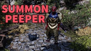 Summon Peeper  Divinity Original Sin 2 Definitive Edition [upl. by Higginson]