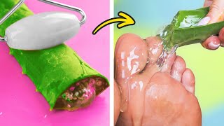 Smart aloe vera hacks for any occasion [upl. by Akitan]