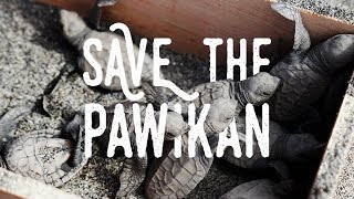 Pawikan Festival Help Save the Pawikans Morong Bataan Philippines [upl. by Eelam]