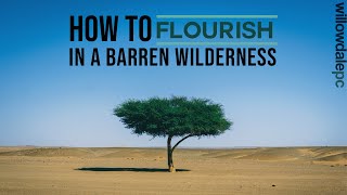 How to Flourish in a Barren Wilderness March 15th Sermon [upl. by Perkins]