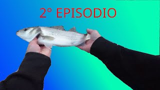 episodio 2 Spigole a bolo in 2 dita dacqua [upl. by Dene401]