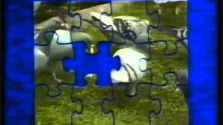 Tik Tak Muziek  Puzzel 1 kleurboek met molentje [upl. by Wolk]