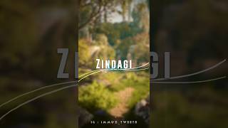 Zindagi song by akhil with lyrics  immuztweets love [upl. by Enihpad864]