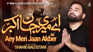 Shahid Baltistani Nohay 2024  Aey Meri Jaan Akber  Noha Ali Akber as  Muharram 2024  1446 [upl. by Klemm]