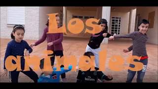 Rap Los animales [upl. by Yrolg745]