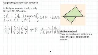 Gelijkvormige driehoeken aantonen 3 HAVO [upl. by Esenwahs363]