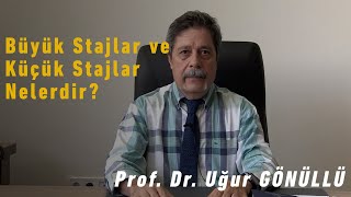 Büyük stajlar ve küçük stajlar nelerdir [upl. by Revlis884]