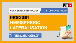 AQA ALevel Psychology  Study Livestream  Biopsychology  Hemispheric Lateralisation [upl. by Atnom130]