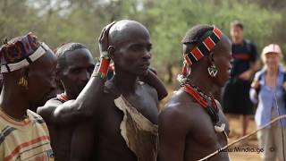 Bull Jumping Ritual  Hamar Tribe Ethiopia [upl. by Akienat]