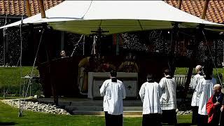 The National Pilgrimage Angelus and Pilgrimage Mass [upl. by Sansen650]