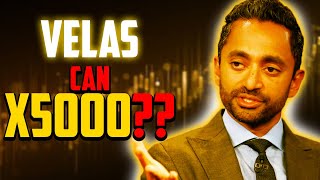 CAN VELAS MAKE IT TO X5000  VELAS PRICE PREDICTION 2023 [upl. by Ynnaf709]