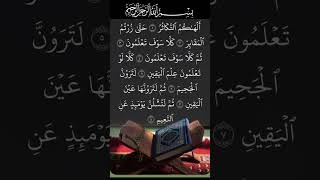 Surah takasur beautiful recitationsurah takasur tilawatsurah takasurislamic whats app status [upl. by Rudd240]