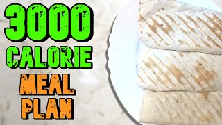 EASY 3000 Calorie Meal Plan For Weight Gain Skinny Guys [upl. by Sherburne]