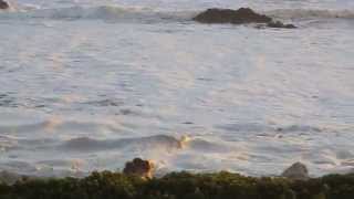 Equinox March 21 High Tide Beachview Port Elizabeth South Africa [upl. by Ahsinut]