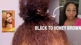 Dying My Hair From Black To Honey Brown Crème Of Nature No Bleach [upl. by Rifkin]