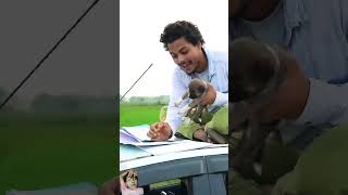 Car mein dog ka sab kam karna dog funny doglover dogsworld doggie [upl. by Ecnedac]