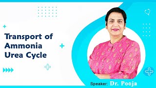 Transport of Ammonia Urea Cycle By Dr Pooja For MBBS 1st Proff [upl. by Herb]