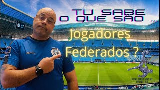 O que são os jogadores federados [upl. by Nnednarb]