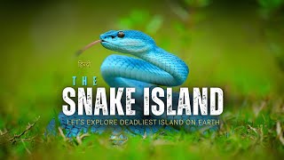 The Snake Island  Lets explore deadliest island on Earth – Hindi – Infinity Stream [upl. by Yaner]