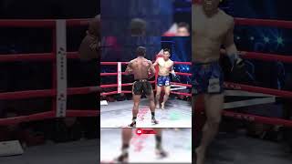 Very crispy buakaw kick is dug shortsvideo kickboxing boxing mma ufc muaythai shorts [upl. by Ettezzil]